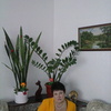 ГАЛИНА, 62, г.Снежинск ГАЛИНА, 62, г.Снежинск