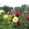 Вера, 64, г.Краснотурьинск Вера, 64, г.Краснотурьинск