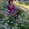 Роза, 64, г.Кушва Роза, 64, г.Кушва