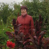 Светлана, 65, г.Кез Светлана, 65, г.Кез