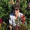 Татьяна, 58, г.Приморско-Ахтарск Татьяна, 58, г.Приморско-Ахтарск