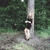 Наталья, 45, г.Воронеж Наталья, 45, г.Воронеж