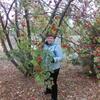 Татьяна, 54, г.Борское Татьяна, 54, г.Борское