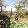 Кузнецов Николай Викт, 68, г.Астрахань Кузнецов Николай Викт, 68, г.Астрахань