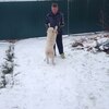 Сергей, 45, г.Верея Сергей, 45, г.Верея
