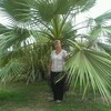 Юлия Янович (Синицына, 47, г.Белоозёрский Юлия Янович (Синицына, 47, г.Белоозёрский