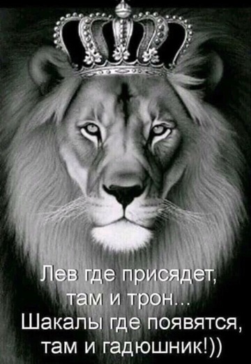 Алексей (@aleksey686968) — моя фотография № 1