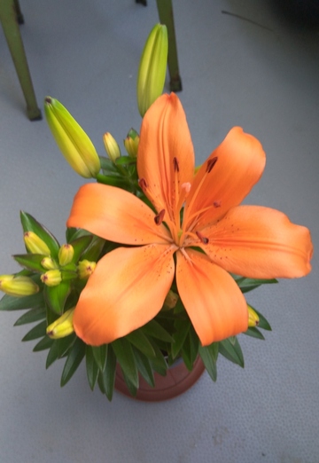 LoveNike2 (@lovenike0) — моя фотография № 7