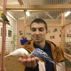 Андрей, 22, г.Реутов Андрей, 22, г.Реутов