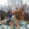 Елена, 40, г.Арсеньев Елена, 40, г.Арсеньев