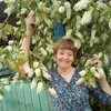 Тамара, 67, г.Заиграево Тамара, 67, г.Заиграево